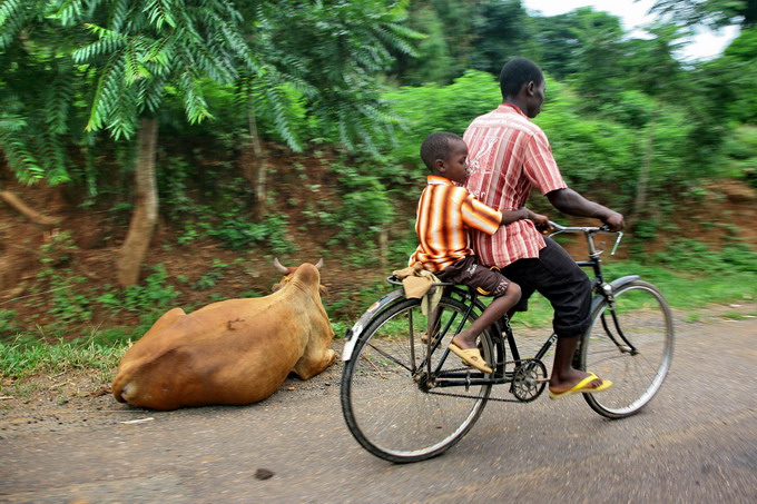 From Khata bay to Mbeya