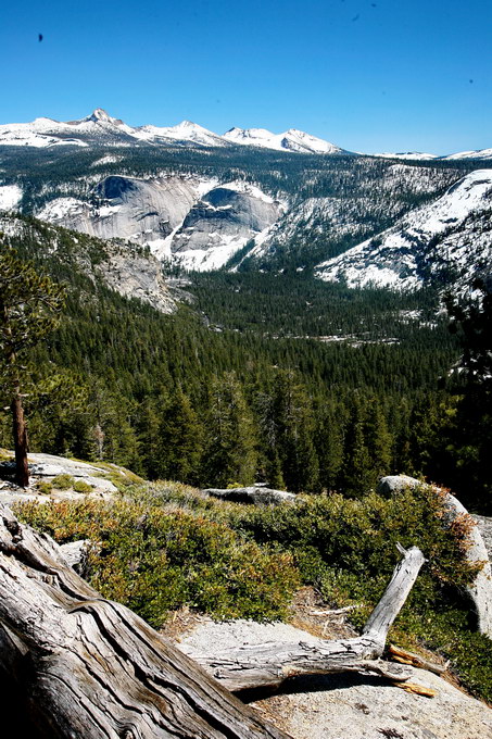 Yosomite, Sequoia, Death Valley