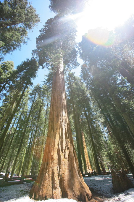 Yosomite, Sequoia, Death Valley