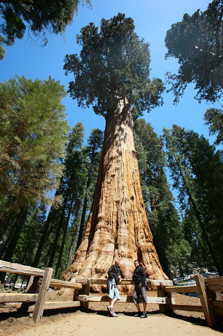 Yosomite, Sequoia, Death Valley