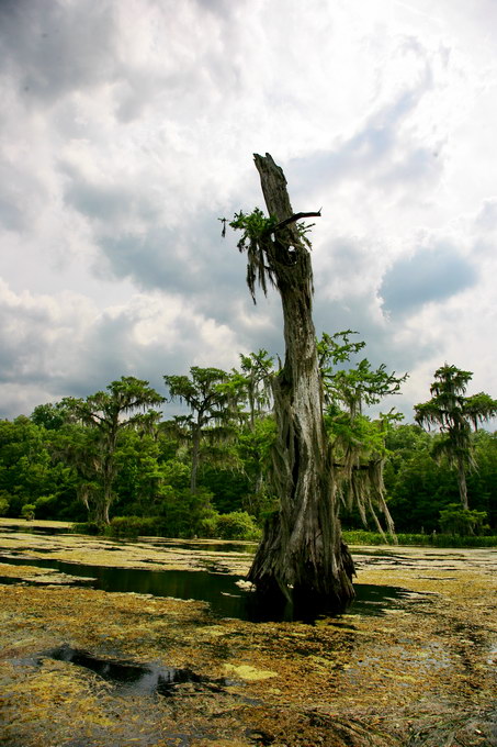 Florida a jihovýchod