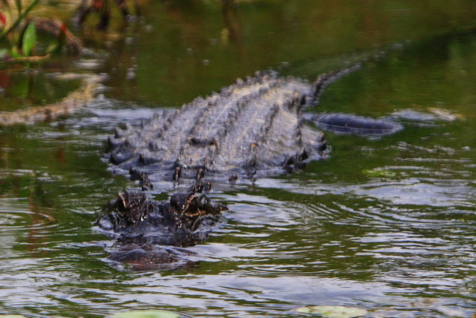 Florida a jihovýchod