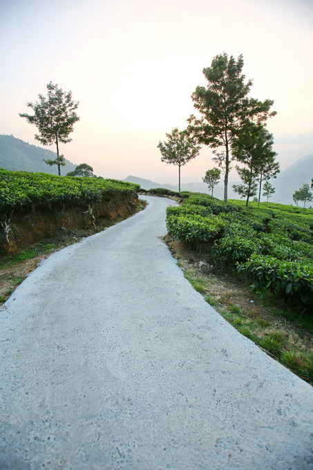 Cochi & Munnar