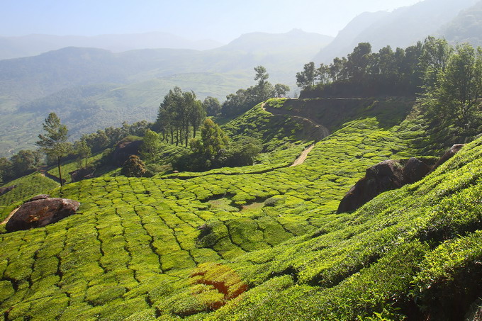 Cochi & Munnar