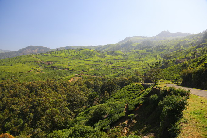 Cochi & Munnar