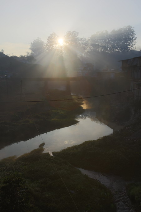 Cochi & Munnar