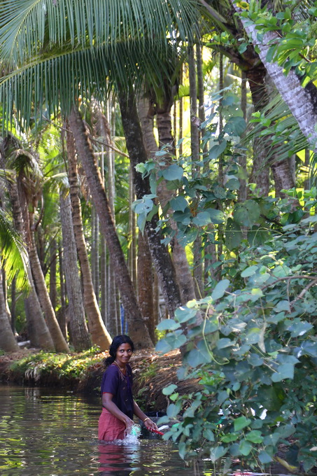 Kerala Backwaters