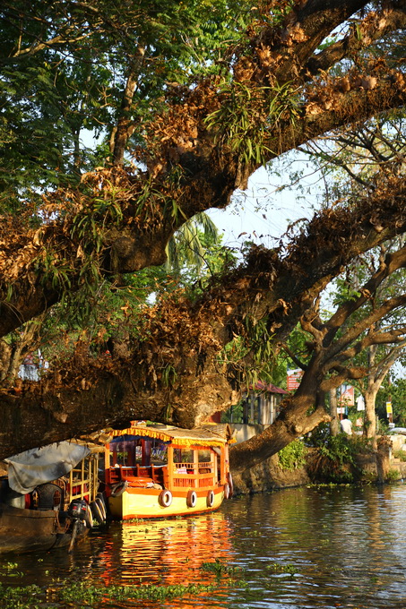 Kerala Backwaters