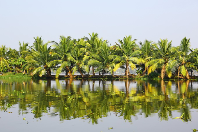 Kerala Backwaters