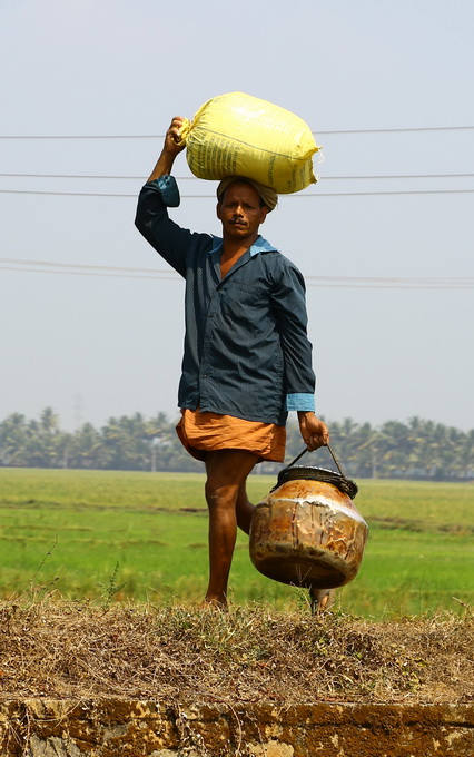 Kerala Backwaters