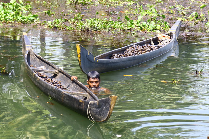 Kerala Backwaters