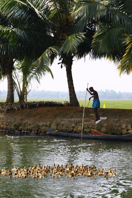 Kerala Backwaters