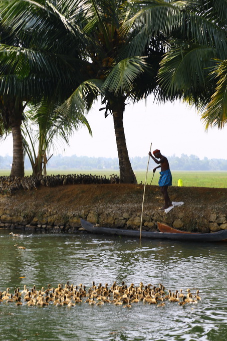 Kerala Backwaters