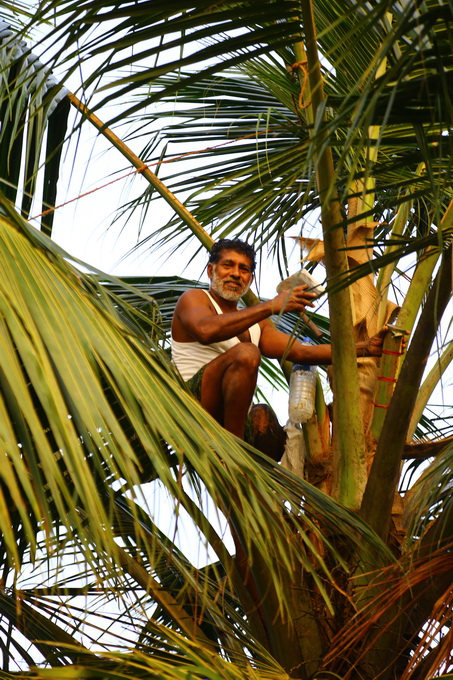 Kerala Backwaters