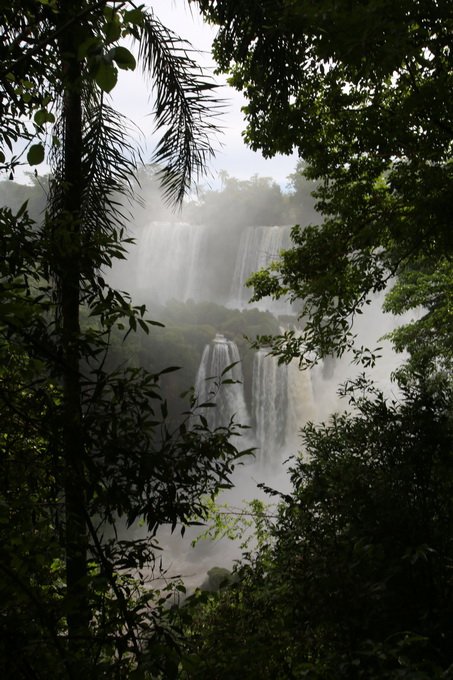 Iguazu falls