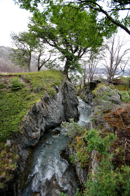 Torres del Paine