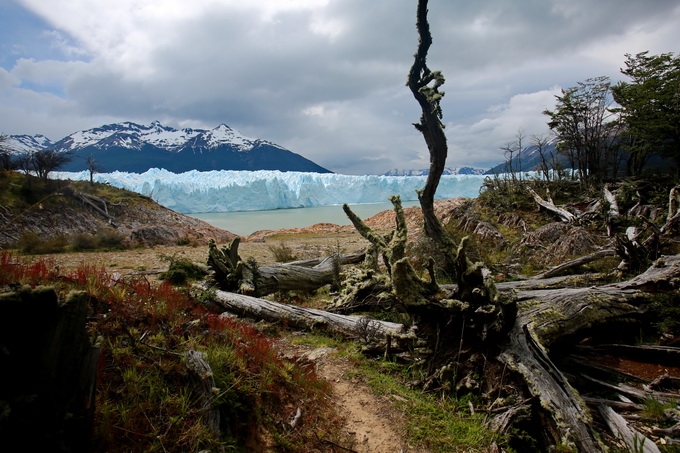 Perito Moreno