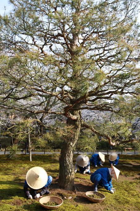 Kanazawa a Kyoto