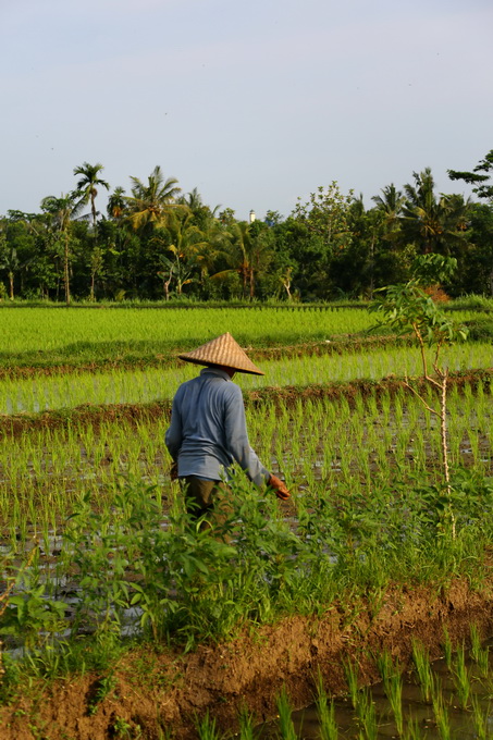 Lombok