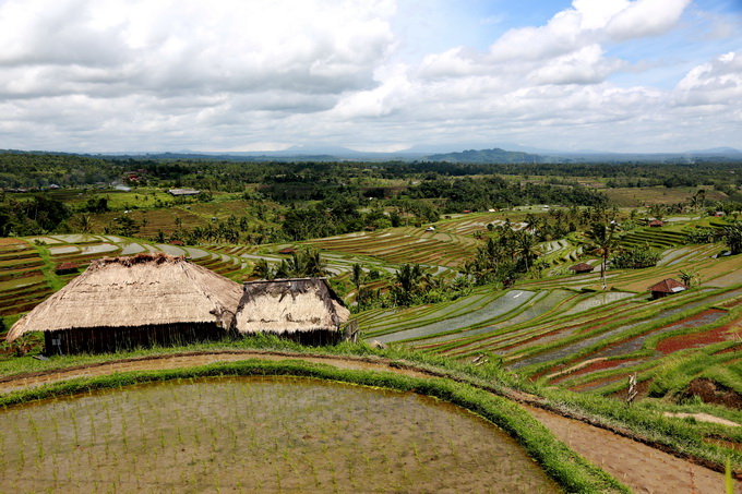 Bali