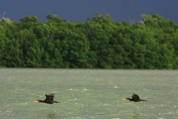 Yucatan