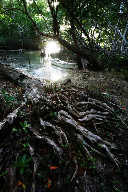 Yucatan