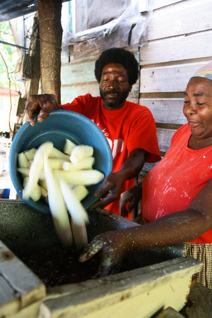 Dangriga a kultura Garafuna