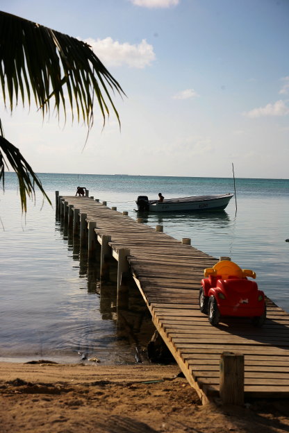 Caye Caulker a velka modra dzuzna