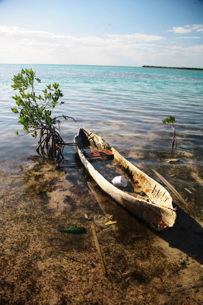 Caye Caulker a velka modra dzuzna