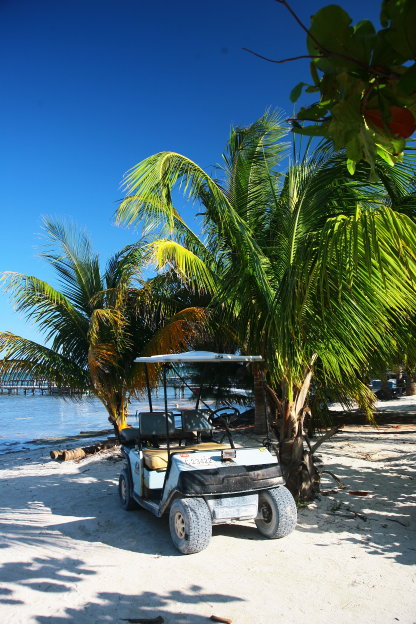 Caye Caulker a velka modra dzuzna