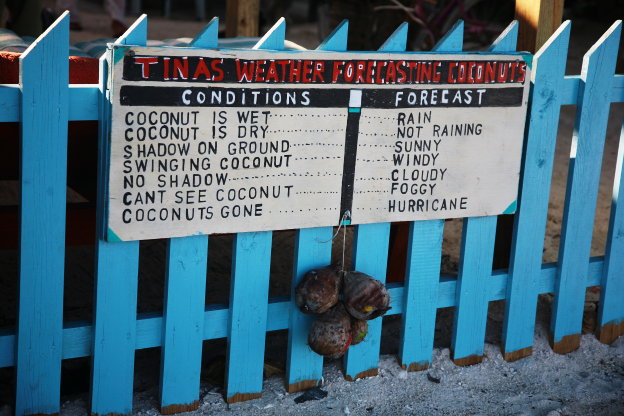 Caye Caulker a velka modra dzuzna