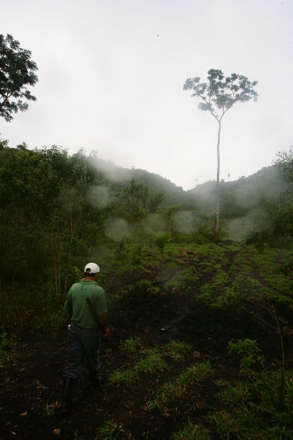 Tikal, Poptun, Rio Dulce