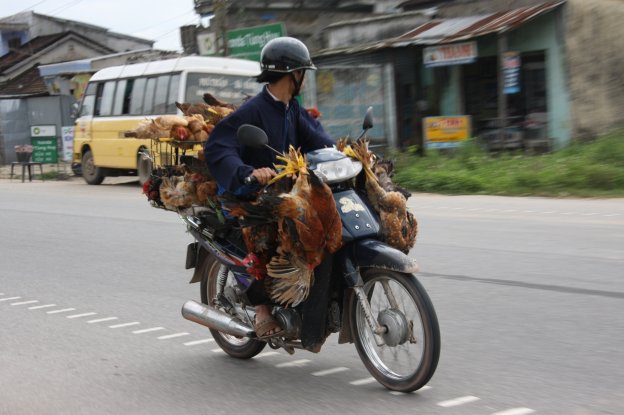 Hoi An a okoli