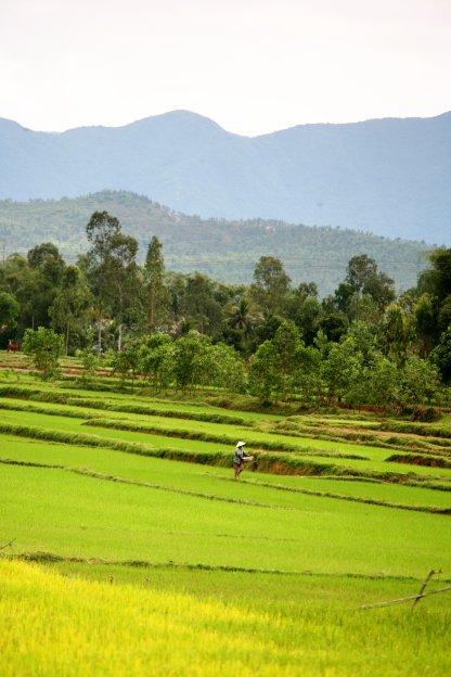 Hoi An a okoli