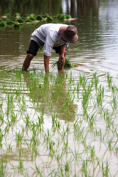 Hoi An a okoli