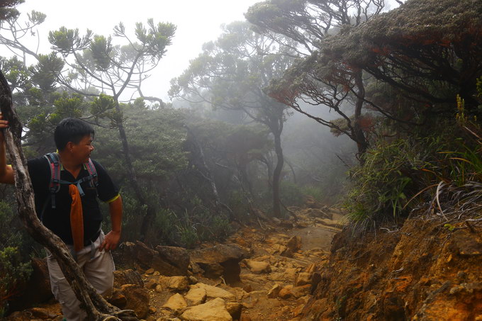 Kinabalu